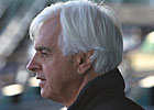 Baffert Horses Big Part of Sudden Death Spike Baffert Horses Big Part of Sudden Death Spike