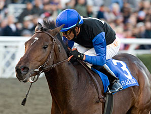 Bob Black Jack Scratched from 'Millions Bob Black Jack Scratched from 'Millions