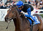 Bob Black Jack Makes Turf Debut in Citation