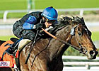 Derby's Next for Cal-Bred Bob Black Jack
