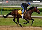 Bob Black Jack Works Half in :48 3/5 Bob Black Jack Works Half in :48 3/5