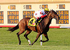 Back on Turf, Bobby's Kitten Takes Penn Mile Back on Turf, Bobby's Kitten Takes Penn Mile