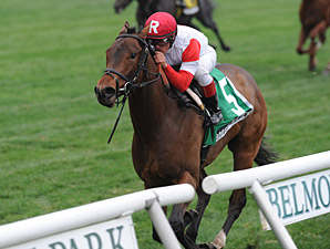 Bobby's Kitten 5-2 in Juvenile Turf Bobby's Kitten 5-2 in Juvenile Turf