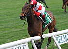 Bobby's Kitten 5-2 in Juvenile Turf Bobby's Kitten 5-2 in Juvenile Turf