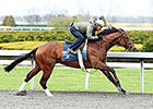 Bobby's Kitten Breezes for Blue Grass Bobby's Kitten Breezes for Blue Grass
