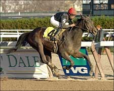 Boca Grande Takes Big Step Forward With Demoiselle Win Boca Grande Takes Big Step Forward With Demoiselle Win