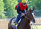 Bodemeister Still Heavy Preakness Favorite