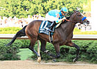 Bloodlines Bode Well for Bodemeister Bloodlines Bode Well for Bodemeister