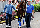 Zayat Looks To Cure Case Of Second-itis