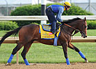Derby Has Consistent, Well-Matched Field