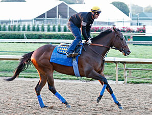 Bodemeister Headed to Pimlico for Preakness Bodemeister Headed to Pimlico for Preakness