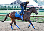Bodemeister Headed to Pimlico for Preakness Bodemeister Headed to Pimlico for Preakness
