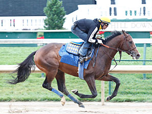 Bodemeister to Skip Haskell; Hansen Likely Bodemeister to Skip Haskell; Hansen Likely