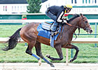 Bodemeister to Skip Haskell; Hansen Likely