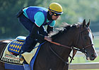 Triple Crown Talk: Preakness 137 Picks