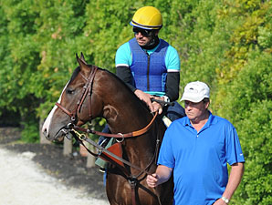 Classic-Placed Bodemeister Retired Classic-Placed Bodemeister Retired
