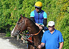 Bodemeister is Virginia Horse of the Year Bodemeister is Virginia Horse of the Year