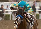 Bodemeister's Quick Breeze Far From Ordinary