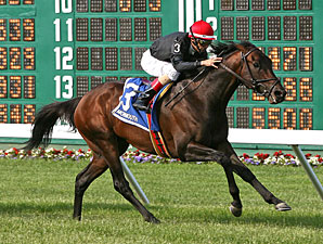 Boisterous Bounces Away in Monmouth Stakes Boisterous Bounces Away in Monmouth Stakes
