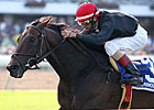 Boisterous Looks to Step Up in Man o' War Boisterous Looks to Step Up in Man o' War
