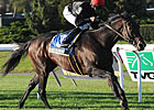 Boisterous a Repeat Winner of Knickerbocker Boisterous a Repeat Winner of Knickerbocker