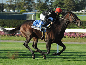 Boisterous One to Beat in River City