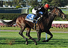 Boisterous One to Beat in River City