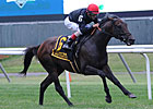 Man o' War to Air on FOX Sports Man o' War to Air on FOX Sports