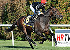 Boisterous Looks to Add Another Stakes Win