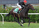 Boisterous Repeats in Red Smith Handicap Boisterous Repeats in Red Smith Handicap