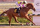 Bold Affair After 3rd Straight Laurel Stakes Bold Affair After 3rd Straight Laurel Stakes