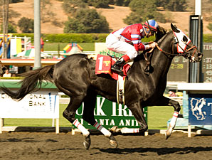 'Chieftain Takes Cal Cup Classic; Grazen Hurt 'Chieftain Takes Cal Cup Classic; Grazen Hurt