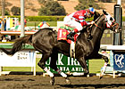 'Chieftain Takes Cal Cup Classic; Grazen Hurt 'Chieftain Takes Cal Cup Classic; Grazen Hurt