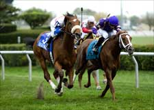 Bold Hawk Pecks Out Hawthorne Derby Win Bold Hawk Pecks Out Hawthorne Derby Win