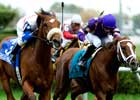 Bold Hawk Pecks Out Hawthorne Derby Win Bold Hawk Pecks Out Hawthorne Derby Win