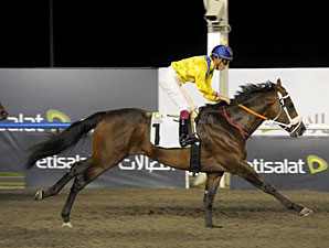 Bold Silvano Caps Banner Day for de Kock Bold Silvano Caps Banner Day for de Kock