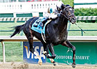 Aristides: Bold Start Gets His Graded Stakes Aristides: Bold Start Gets His Graded Stakes