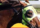 Bon Hoffa Charges to First Group I Win in Sir Rupert Clarke