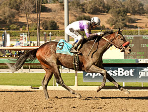 Maiden Bond Holder Surprises in FrontRunner Maiden Bond Holder Surprises in FrontRunner