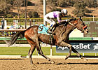Maiden Bond Holder Surprises in FrontRunner Maiden Bond Holder Surprises in FrontRunner