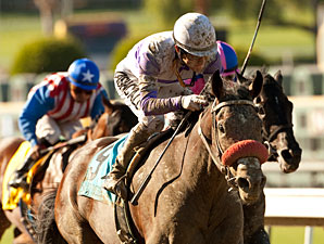 Stranded Bond Holder Headed for Tampa Derby Stranded Bond Holder Headed for Tampa Derby