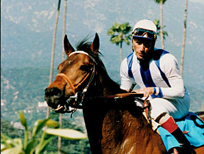 Stakes Winner/Producer Borodislew Dead Stakes Winner/Producer Borodislew Dead