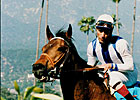 Stakes Winner/Producer Borodislew Dead Stakes Winner/Producer Borodislew Dead