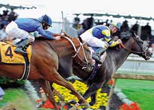 Steve Haskin's Preakness Wrapup: Final Thoughts Steve Haskin's Preakness Wrapup: Final Thoughts