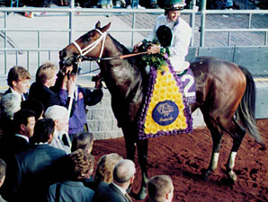 Champion Boston Harbor's Dam Dies Champion Boston Harbor's Dam Dies