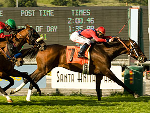 Boule d'Or Steals Gold in San Luis Rey Boule d'Or Steals Gold in San Luis Rey