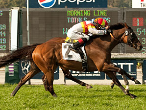 Bourbon Bay Out of Breeders' Cup Turf Bourbon Bay Out of Breeders' Cup Turf