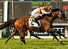 Bourbon Bay Out of Breeders' Cup Turf Bourbon Bay Out of Breeders' Cup Turf