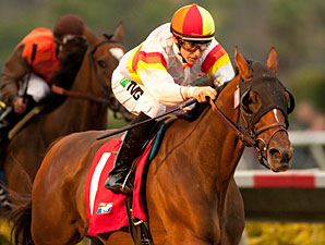 Bourbon Bay Makes Splash in Cougar