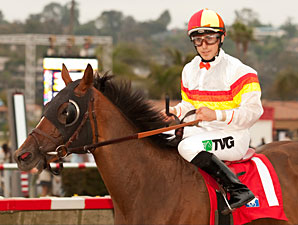 Drysdale Duo Works for Hollywood Turf Cup Drysdale Duo Works for Hollywood Turf Cup